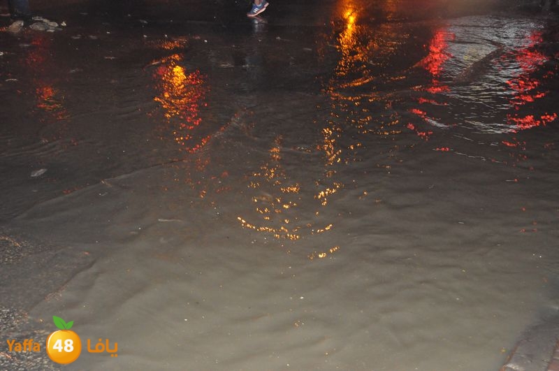 majary wa7a 1204 (17).JPG